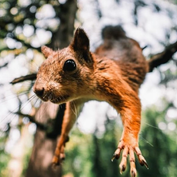 Meet your Posher, Brian - Picture 1 of 1